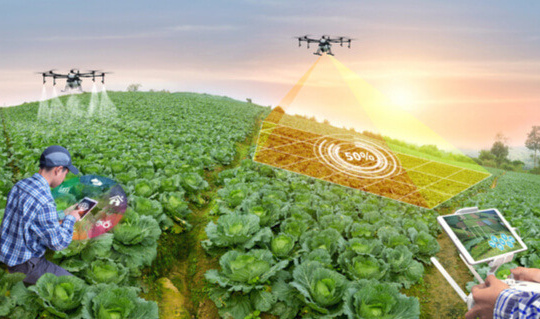 Social protection for agricultural workers: Innovative practices in Europe