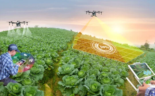 Social protection for agricultural workers: Innovative practices in Europe