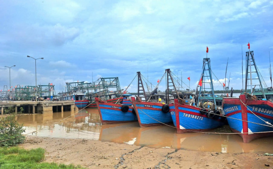 Thanh Hóa: Triển khai có hiệu quả một số chính sách phát triển ngành thủy sản