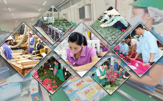 Private economic sector set for breakthrough growth as golden opportunities emerge