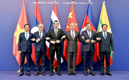 Viet Nam vows to join hands with Mekong countries to build peaceful and prosperous future