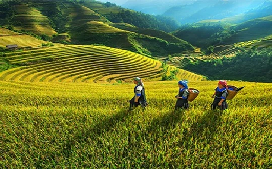 Tổng kết và định hướng Chương trình phát triển vùng dân tộc thiểu số và miền núi