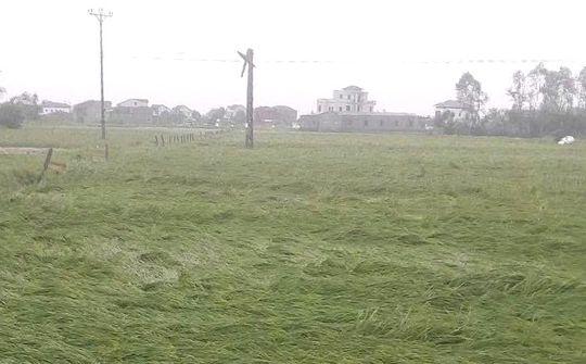Hà Tĩnh sau bão Kajiki: Nỗi đau và thiệt hại nặng nề