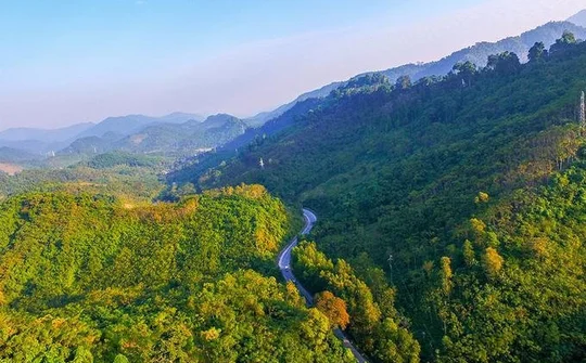Chuyển nhượng 1 triệu tấn CO₂ vùng Bắc Trung Bộ cho Ngân hàng Tái thiết và Phát triển quốc tế