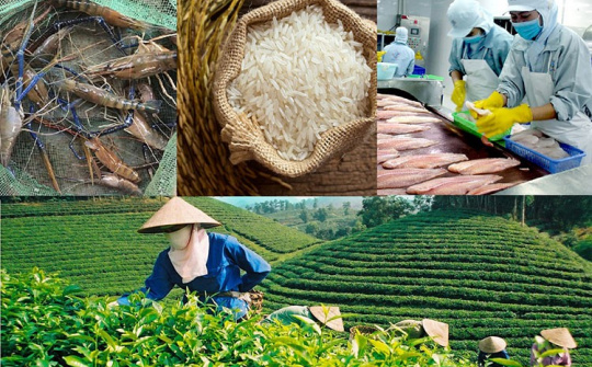 Nâng uy tín nông lâm thủy sản Việt bằng truy xuất nguồn gốc