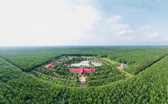 Bản Anh hùng ca của Tập đoàn công nghiệp Cao su Việt Nam hôm nay là sức mạnh từ cội nguồn lịch sử, phát triển tầm vóc thời đại