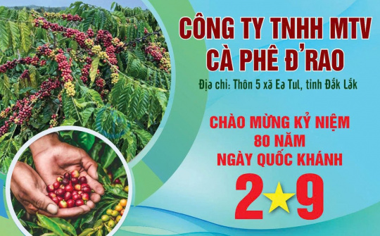 Cà phê Đ’rao: Phát huy bản lĩnh Anh hùng Lao động