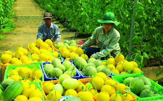 Vĩnh Long: Đẩy nhanh tiến độ, tăng tốc giải ngân vốn đầu tư công cho nông nghiệp