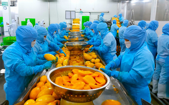 An Giang bứt phá công nghiệp, xuất khẩu tăng tốc