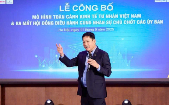 Mô hình Toàn cảnh Kinh tế tư nhân Việt Nam: Hướng tới mục tiêu "Công - tư kiến quốc - Hùng cường, thịnh vượng"