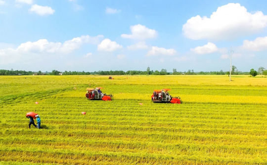 Dự thảo Luật Đất đai (sửa đổi) tập trung tháo gỡ những vướng mắc cấp thiết