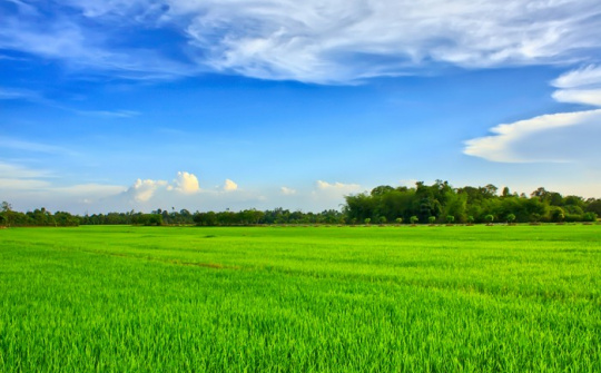 Tháo gỡ vướng mắc triển khai dự án khi quy hoạch đất chưa điều chỉnh