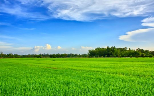 Tháo gỡ vướng mắc triển khai dự án khi quy hoạch đất chưa điều chỉnh