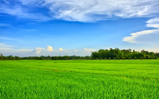 Tháo gỡ vướng mắc triển khai dự án khi quy hoạch đất chưa điều chỉnh
