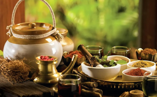 Đẩy mạnh phát triển nền y học cổ truyền Việt Nam trong giai đoạn mới