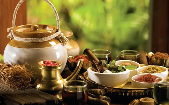 Đẩy mạnh phát triển nền y học cổ truyền Việt Nam trong giai đoạn mới