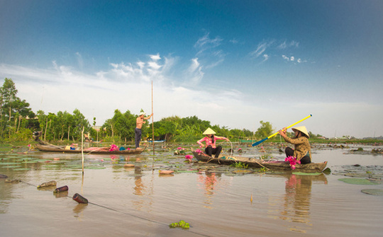 Đồng Tháp đưa phong trào “Bình dân học vụ số” đến mọi người, mọi nhà