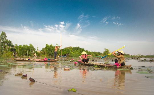 Đồng Tháp đưa phong trào “Bình dân học vụ số” đến mọi người, mọi nhà