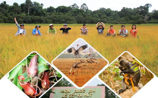 Tây Ninh nâng tầm sản phẩm đặc thù, quảng bá mạnh mẽ thương hiệu du lịch