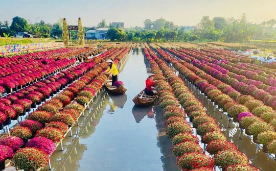 Festival Hoa – Kiểng Sa Đéc: Bước tiến mới trong phát triển du lịch văn hóa – nông nghiệp