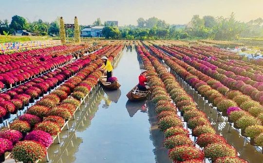 Festival Hoa – Kiểng Sa Đéc: Bước tiến mới trong phát triển du lịch văn hóa – nông nghiệp