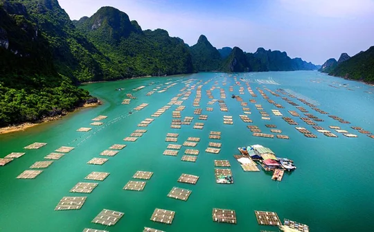 Phê duyệt Cơ chế điều phối liên ngành về phát triển bền vững kinh tế biển