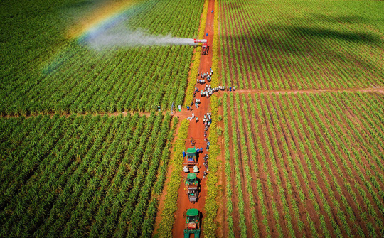 Tây Ninh: Vào cuộc mạnh mẽ nâng cao chỉ số PCI, tạo đà thu hút đầu tư