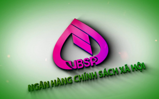 Quy định tổ chức, hoạt động của Ngân hàng Chính sách xã hội