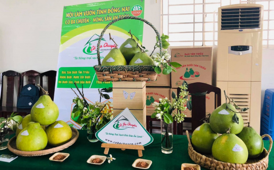 Nhiều sản vật đặc trưng của Đồng Nai được vinh danh OCOP năm 2025