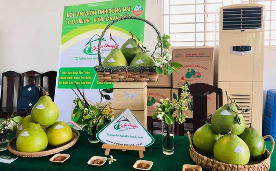 Nhiều sản vật đặc trưng của Đồng Nai được vinh danh OCOP năm 2025