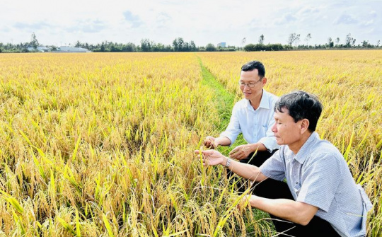 Vĩnh Long đẩy mạnh kinh tế tập thể, khơi thông nguồn lực nông thôn từ năm 2026