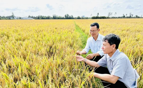 Vĩnh Long đẩy mạnh kinh tế tập thể, khơi thông nguồn lực nông thôn từ năm 2026