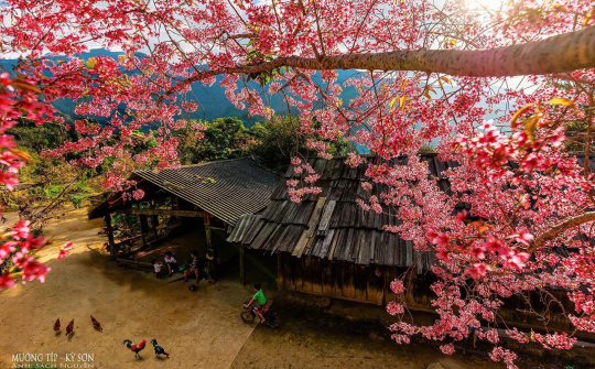 Kỳ Sơn - Hành trình chạm mây nơi miền Tây xứ Nghệ