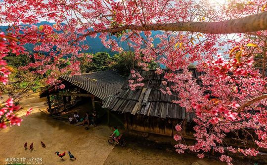Kỳ Sơn - Hành trình chạm mây nơi miền Tây xứ Nghệ