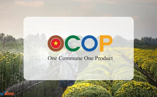 Taking OCOP products global