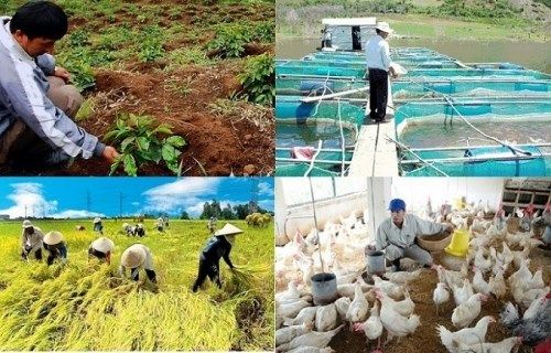 Đẩy mạnh xúc tiến thương mại tạo đòn bẩy chiến lược nâng cao hiệu quả và năng lực cạnh tranh của hợp tác xã