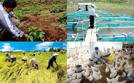 Đẩy mạnh xúc tiến thương mại tạo đòn bẩy chiến lược nâng cao hiệu quả và năng lực cạnh tranh của hợp tác xã