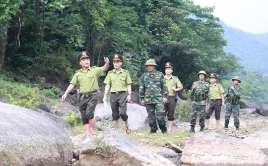 Chuyện về những người gác rừng ở Vũ Quang