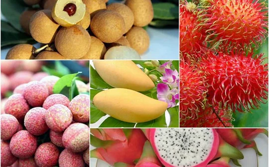 Hỗ trợ nông dân xây dựng thương hiệu, nhãn hiệu hàng hóa nông sản