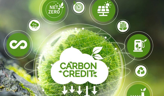 Nghị định về sàn giao dịch các-bon trong nước