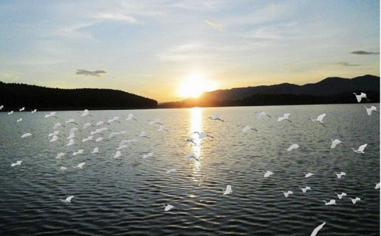 Yên Thành “quê lúa” với những điểm đến du lịch tâm linh và sinh thái trải nghiệm hấp dẫn