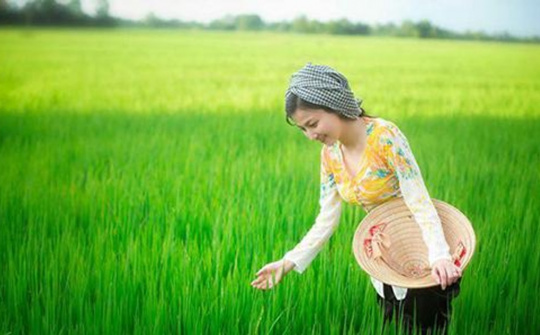 Điều chỉnh quy định về trồng trọt và bảo vệ thực vật