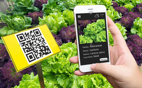 Ứng dụng công nghệ trong quản lý chất lượng sản phẩm, hàng hóa