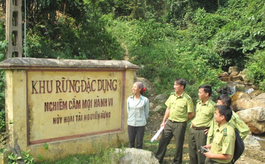 Mở rộng chính sách đầu tư bảo vệ rừng đặc dụng