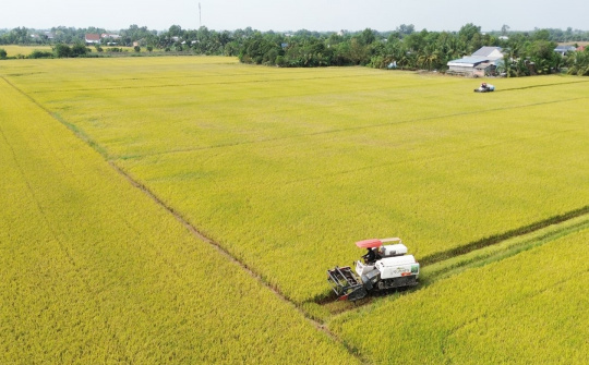 Định hướng và giải pháp thúc đẩy phát triển công nghiệp nông thôn tỉnh Đồng Tháp trong giai đoạn mới