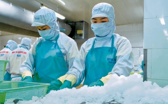 Cà Mau nâng tầm thương hiệu cua, tái cấu trúc chuỗi giá trị ngành tôm