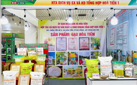 Hòa Tiến khơi dậy động lực kinh tế tư nhân, nâng tầm sản phẩm OCOP