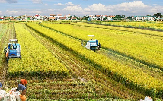 Nâng mức hỗ trợ phí bảo hiểm nông nghiệp: Mở rộng không gian quản trị rủi ro