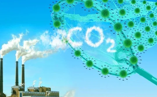 Tổng hạn ngạch phát thải khí nhà kính thí điểm cho năm 2026 là hơn 268 triệu tấn CO2tđ