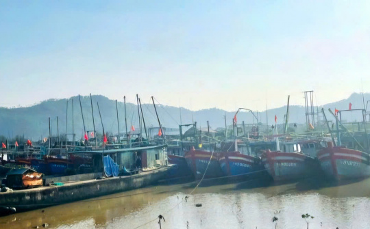 Thanh Hóa: Bước chuyển mạnh mẽ trong chống khai thác thủy sản bất hợp pháp